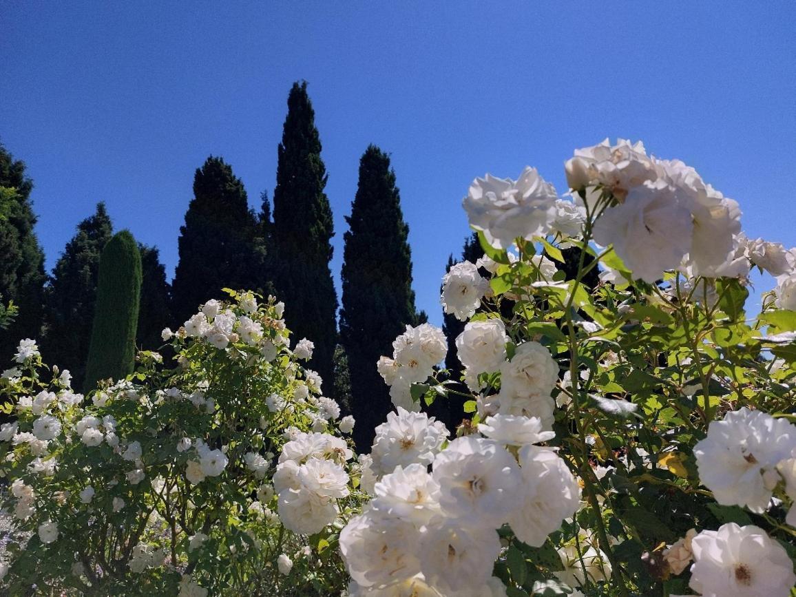 En Provence, Chez Stephanie Et Marcel Saint-Rémy-de-Provence Εξωτερικό φωτογραφία